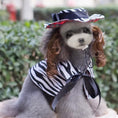 Load image into Gallery viewer, Dog Christmas outfit by Pet Zen, zebra-print with black bow and striped hat
