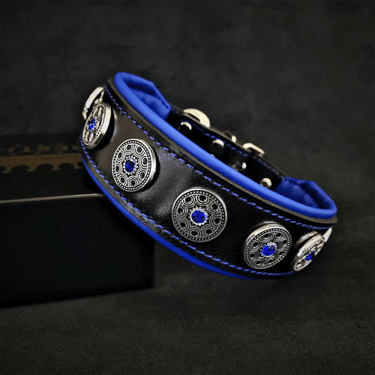 "Bijou" collar black & blue - Pet Collars & Harnesses from Bestia Dog Gear