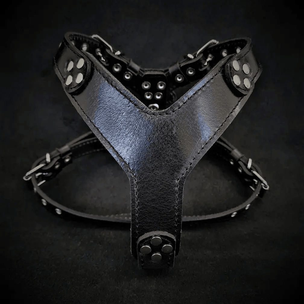 Bestia Custom Dog Gear Style Harness Black 4mm Italian Leather S to M by Bestia Dog Gear