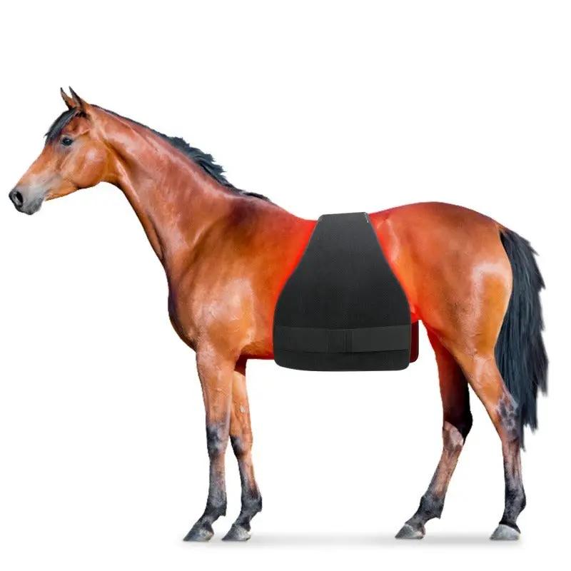 Equine Infrared Red Light Wellness Pad