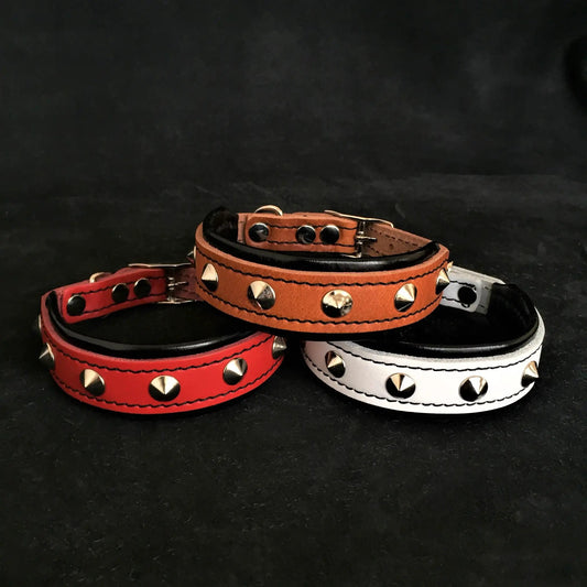 The "Superstar" puppy dog collar - Pet Collars & Harnesses from Bestia Dog Gear