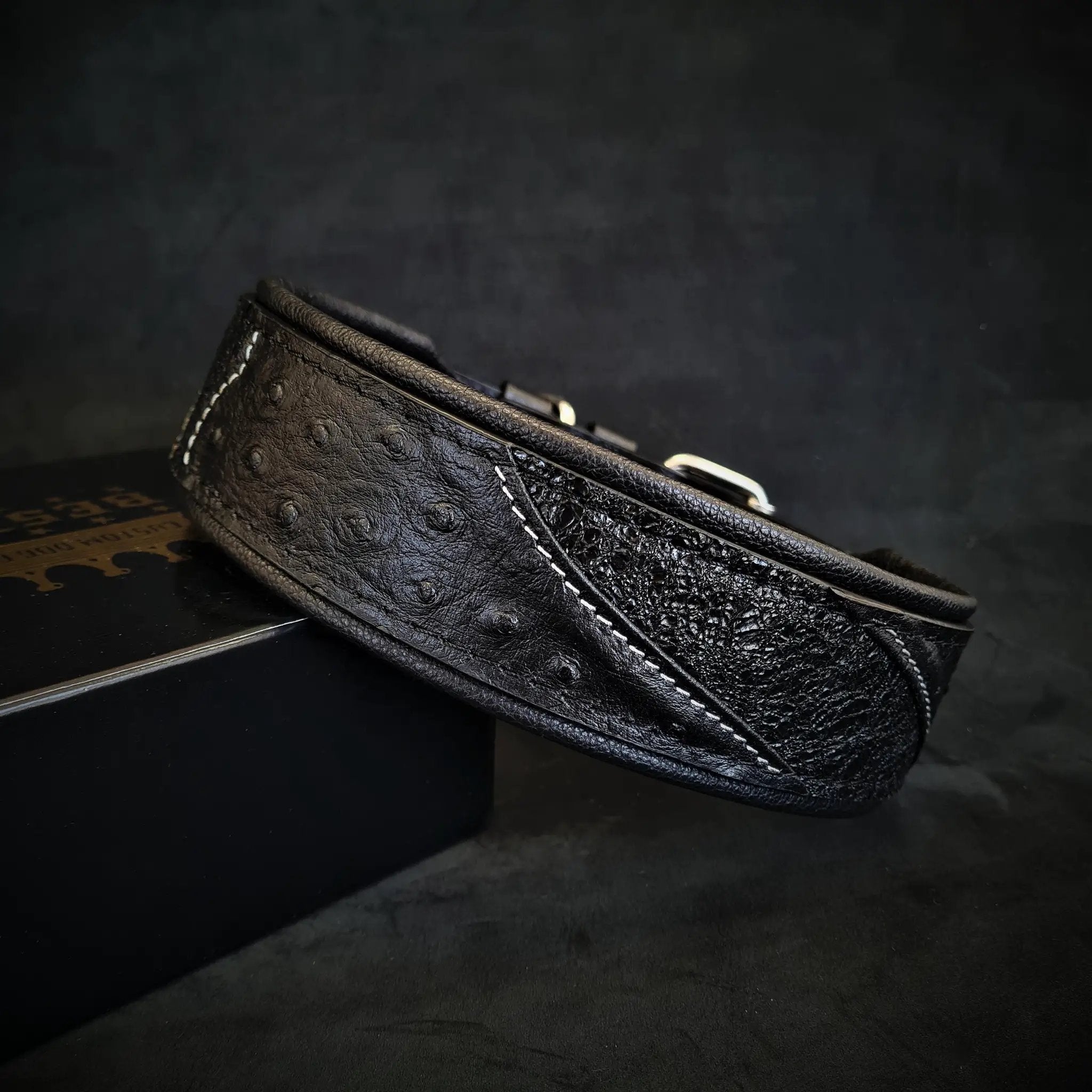 The "Korona" collar BLACK EDITION - Pet Collars & Harnesses from Bestia Dog Gear