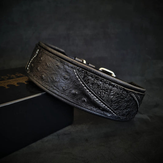 The "Korona" collar BLACK EDITION - Pet Collars & Harnesses from Bestia Dog Gear