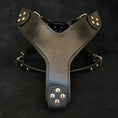 Carica l'immagine nel visualizzatore della galleria, The ''Style'' harness Black - Pet Collars & Harnesses from Bestia Dog Gear
