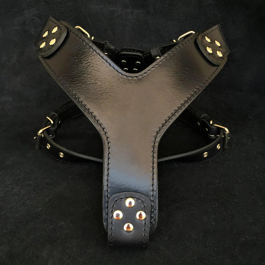 The ''Style'' harness Black - Pet Collars & Harnesses from Bestia Dog Gear