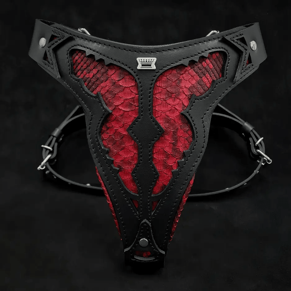 The ''Red Dragon'' harness - Pet Collars & Harnesses from Bestia Dog Gear