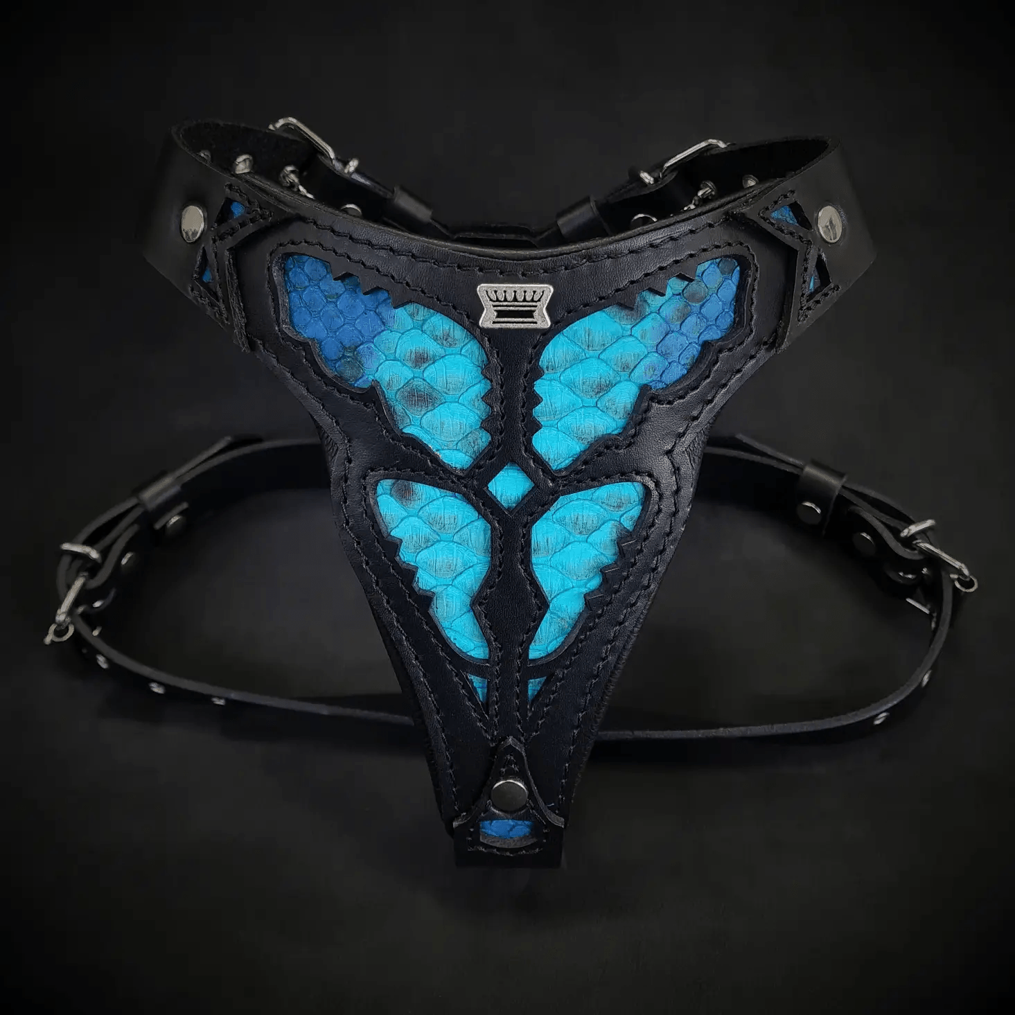 The ''Morelia Python'' harness Medium Size - Pet Collars & Harnesses from Bestia Dog Gear
