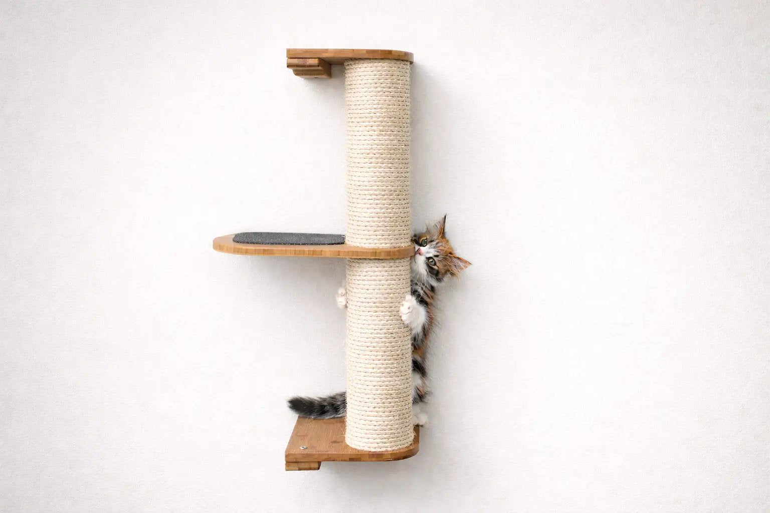 Wall-mounted cat climbing pole with sisal rope and wooden platforms