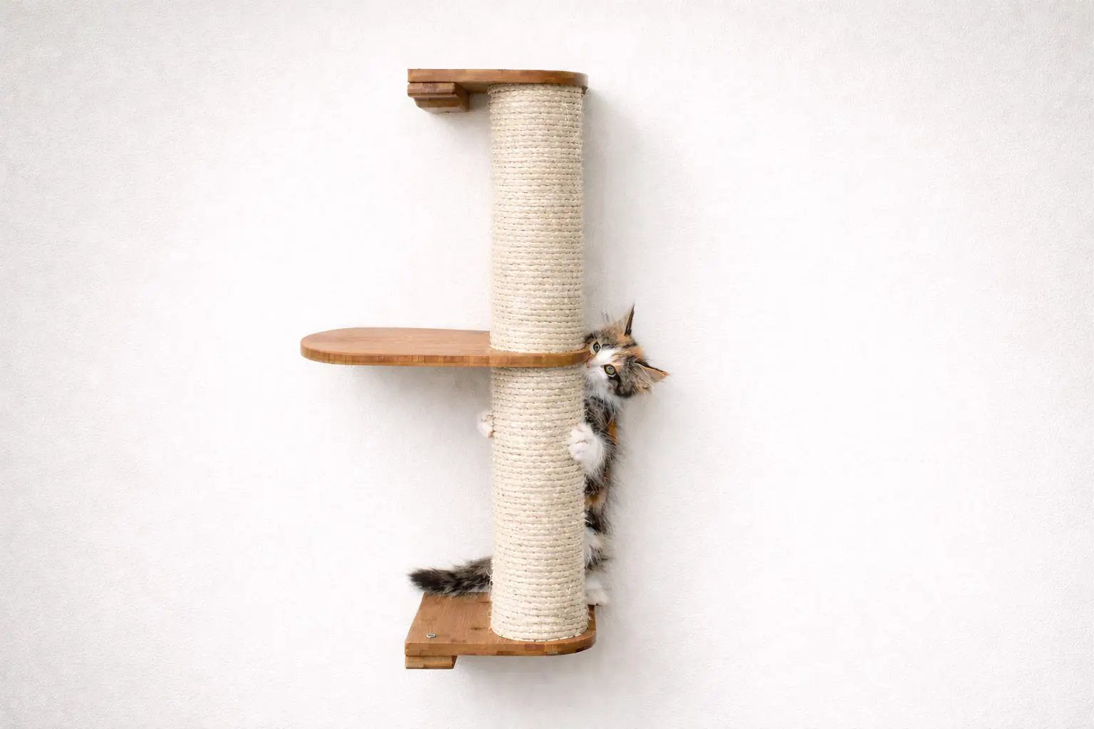 Wall-mounted cat climbing pole with sisal wrap and two natural wood platforms