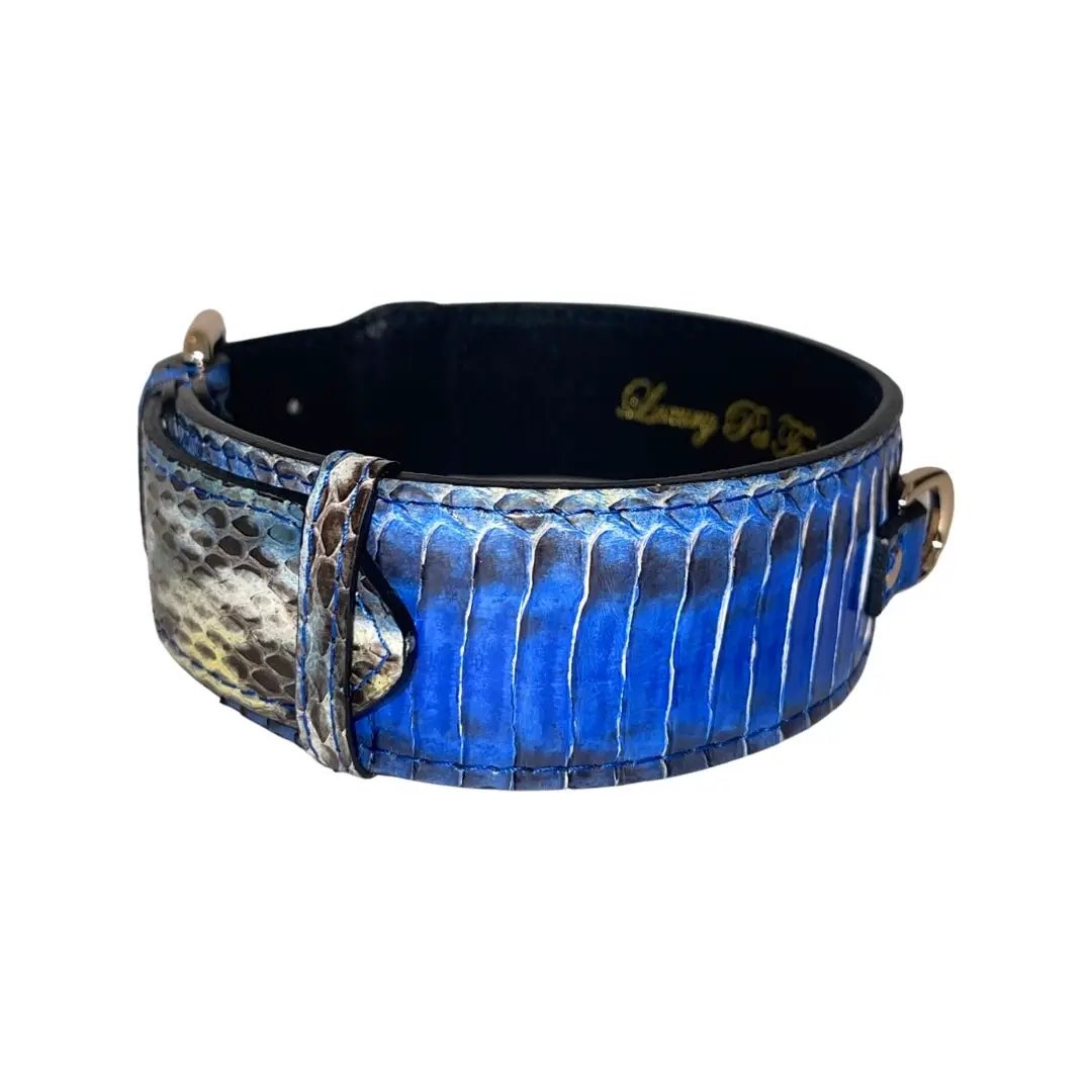 Stunning Blue Snake Classic Collar 14-19 Inch by Allysa Payne Beverly Hills