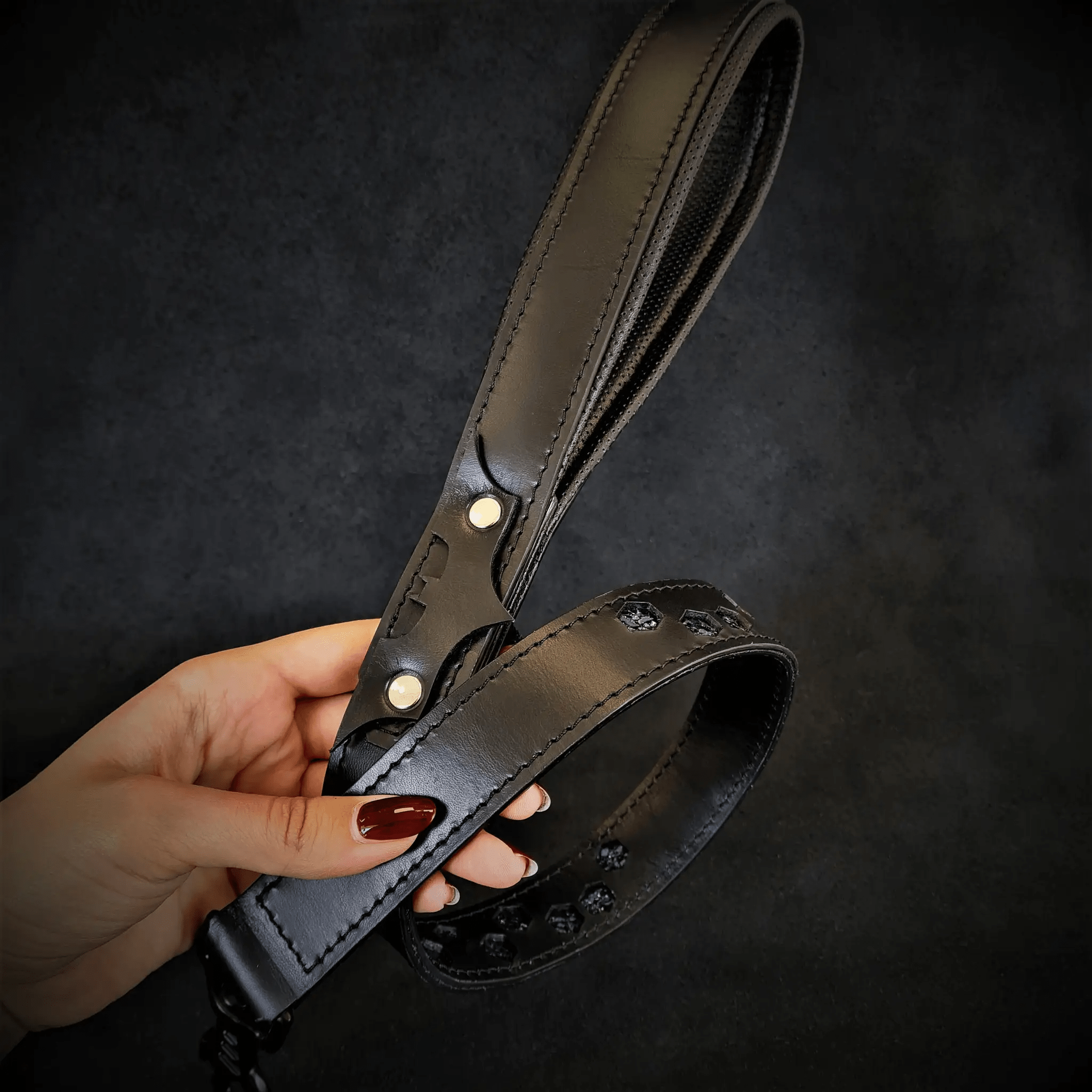 'BATMAN'' Leash - Pet Leashes from Bestia Dog Gear