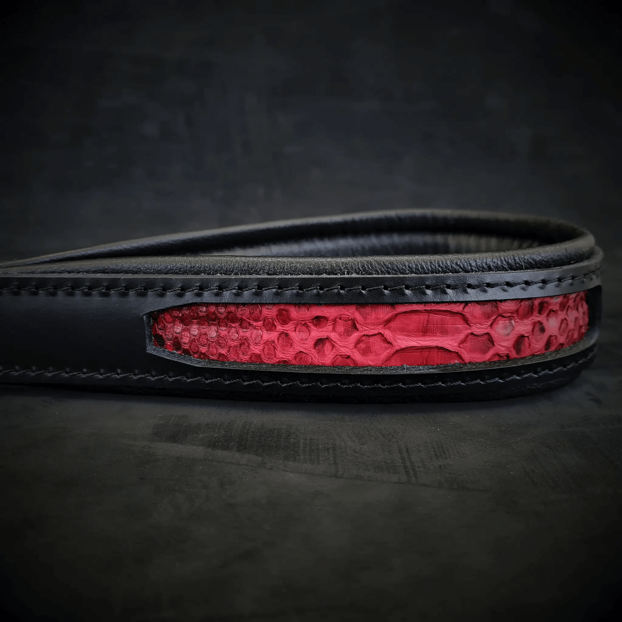 The ''Red Dragon'' leash - Pet Leashes from Bestia Dog Gear
