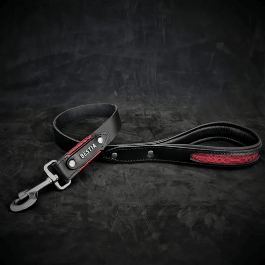 The ''Red Dragon'' leash - Pet Leashes from Bestia Dog Gear