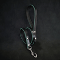 Load image into Gallery viewer, 'Ariel'' leash - Pet Leashes from Bestia Dog Gear
