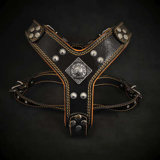 The ''Eros'' harness Black & Orange Small to Medium Size - Pet Collars & Harnesses from Bestia Dog Gear