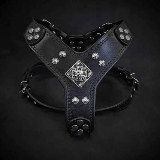 The ''Eros'' harness black Medium Size - Pet Collars & Harnesses from Bestia Dog Gear