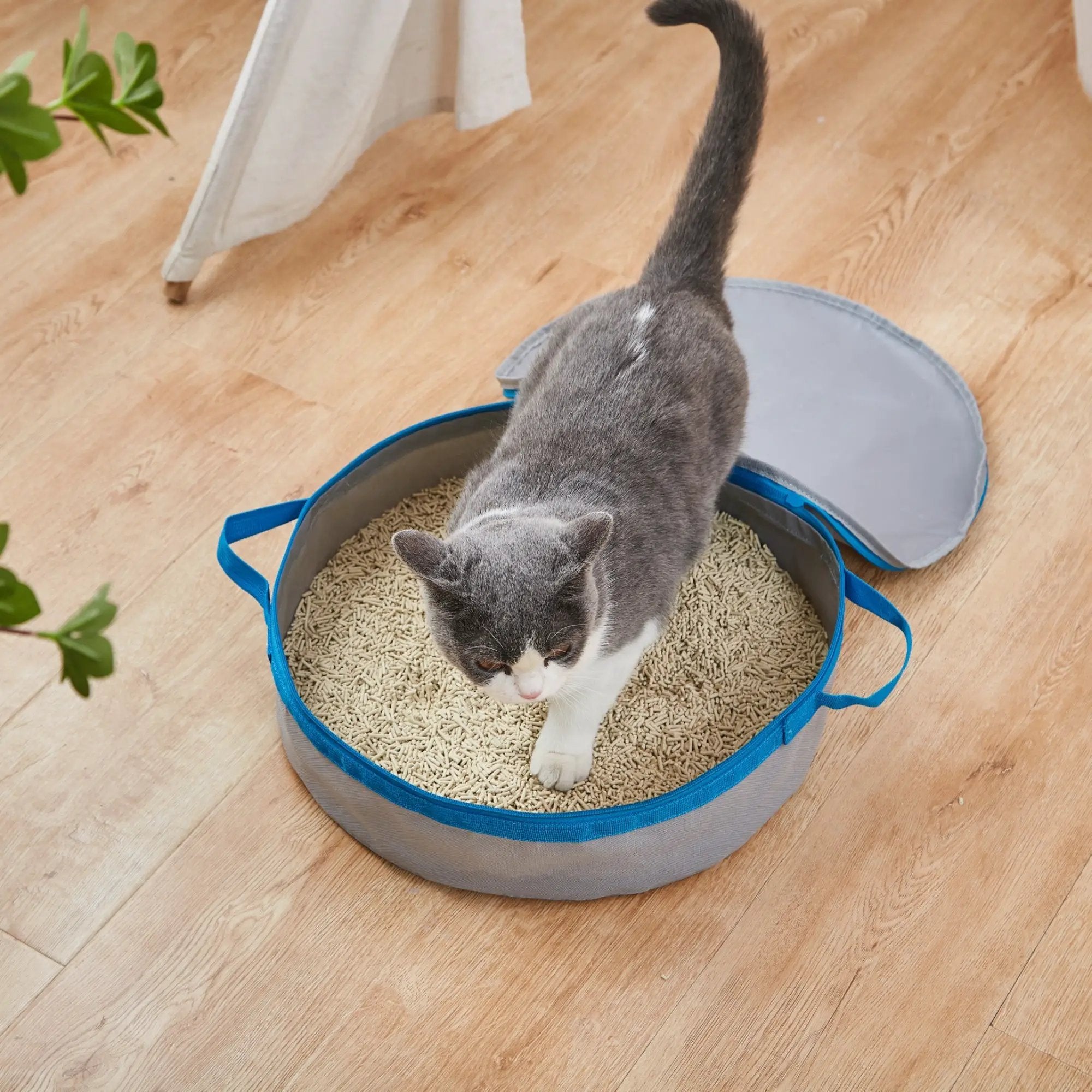Mr. Peanut's PortaPotty travel cat litter box, blue-gray with gray interior and a cat inside.