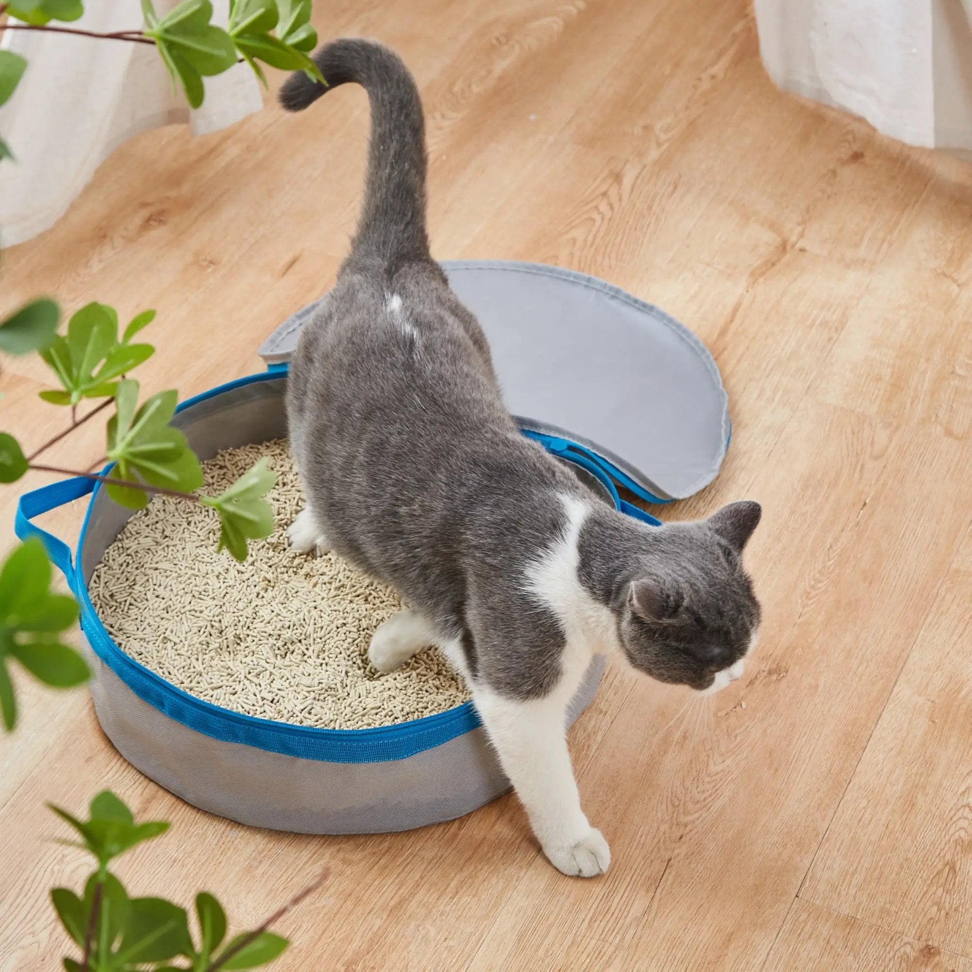 Mr. Peanut's PortaPotty litter box for traveling kitties, gray with blue rim, cat inside