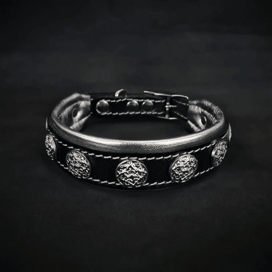 The "Heki" collar - Pet Collars & Harnesses from Bestia Dog Gear