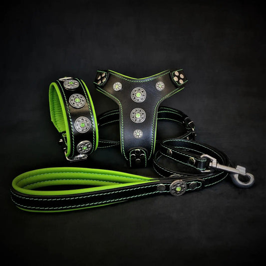 The Green Bijou Set including a stylish leather dog collar set, harness, and leash in black and green.