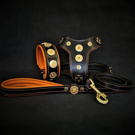 The ''Bijou'' SET - Collar, Harness, Leash. Orange - Pet Collars & Harnesses from Bestia Dog Gear