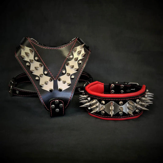 The "Steel" Set - Pet Collars & Harnesses from Bestia Dog Gear