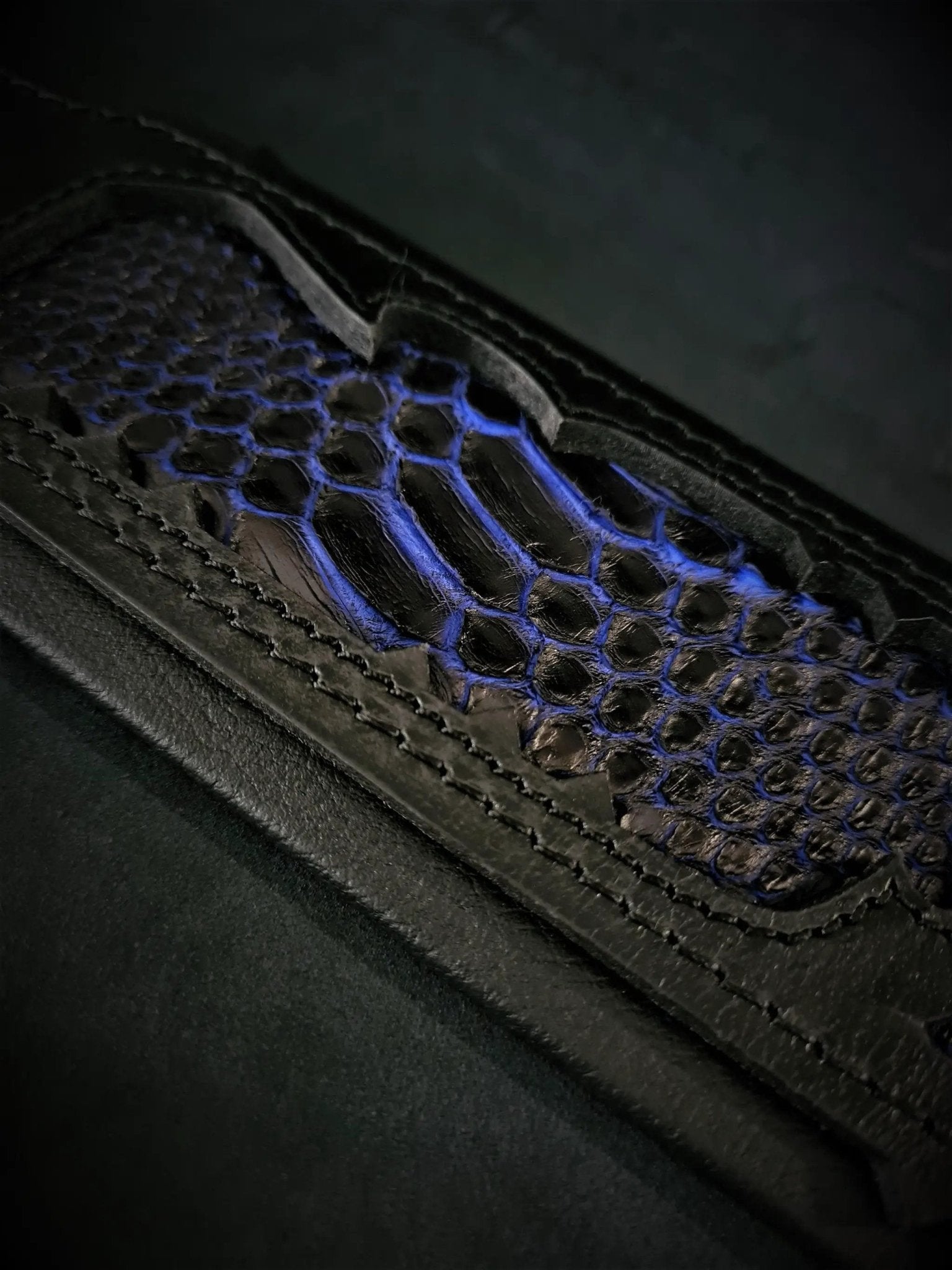 The ''Indigo'' collar - Pet Collars & Harnesses from Bestia Dog Gear