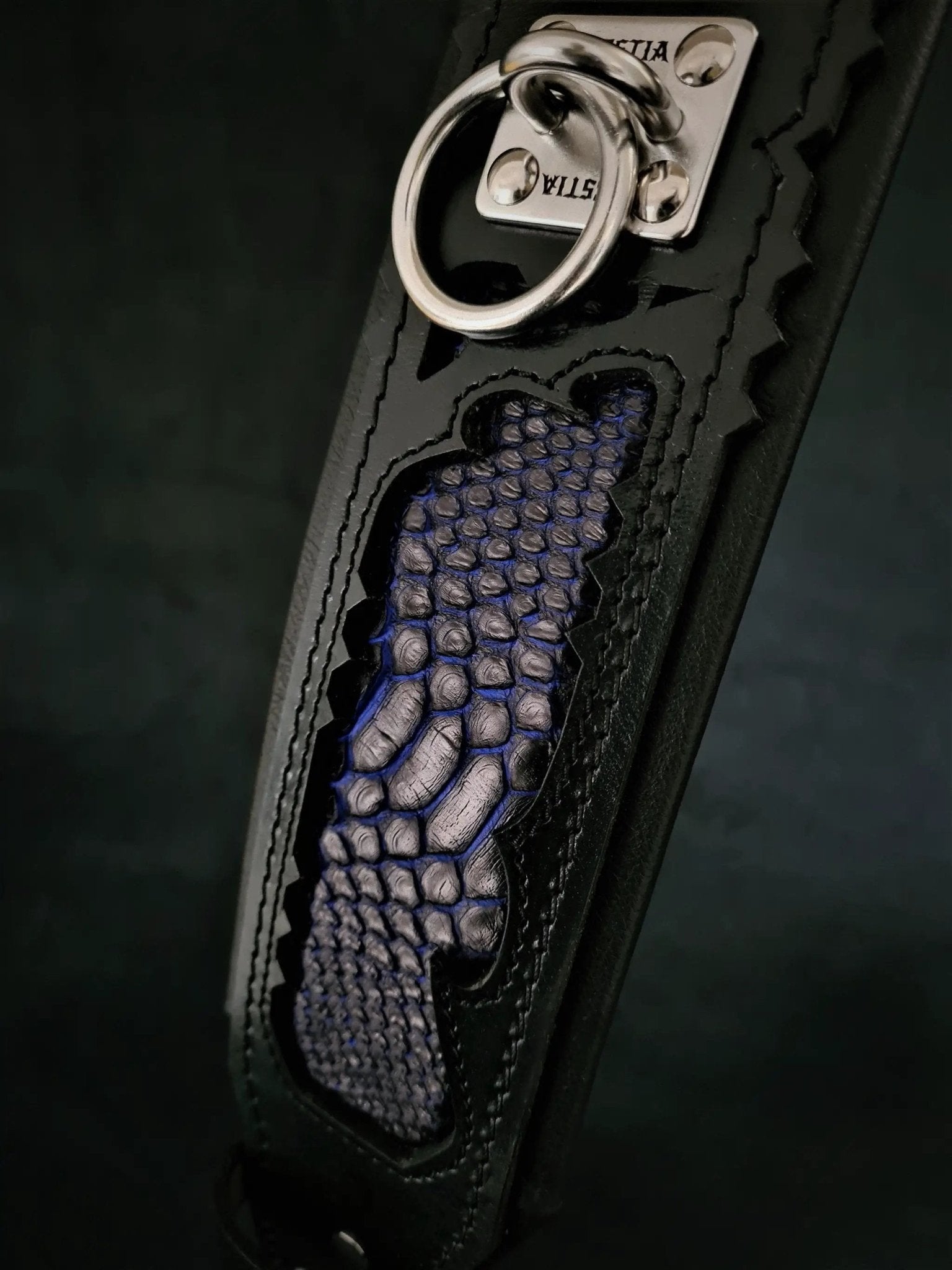The ''Indigo'' collar - Pet Collars & Harnesses from Bestia Dog Gear