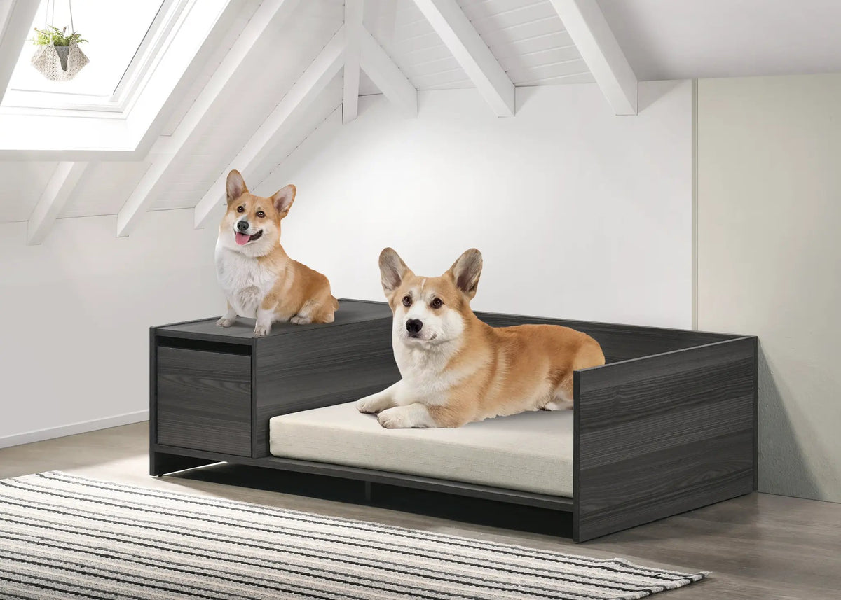 Esme Ash Pet Bed with Side Storage by Home Furnishers; dark ash wood frame, beige cushion, two dogs.