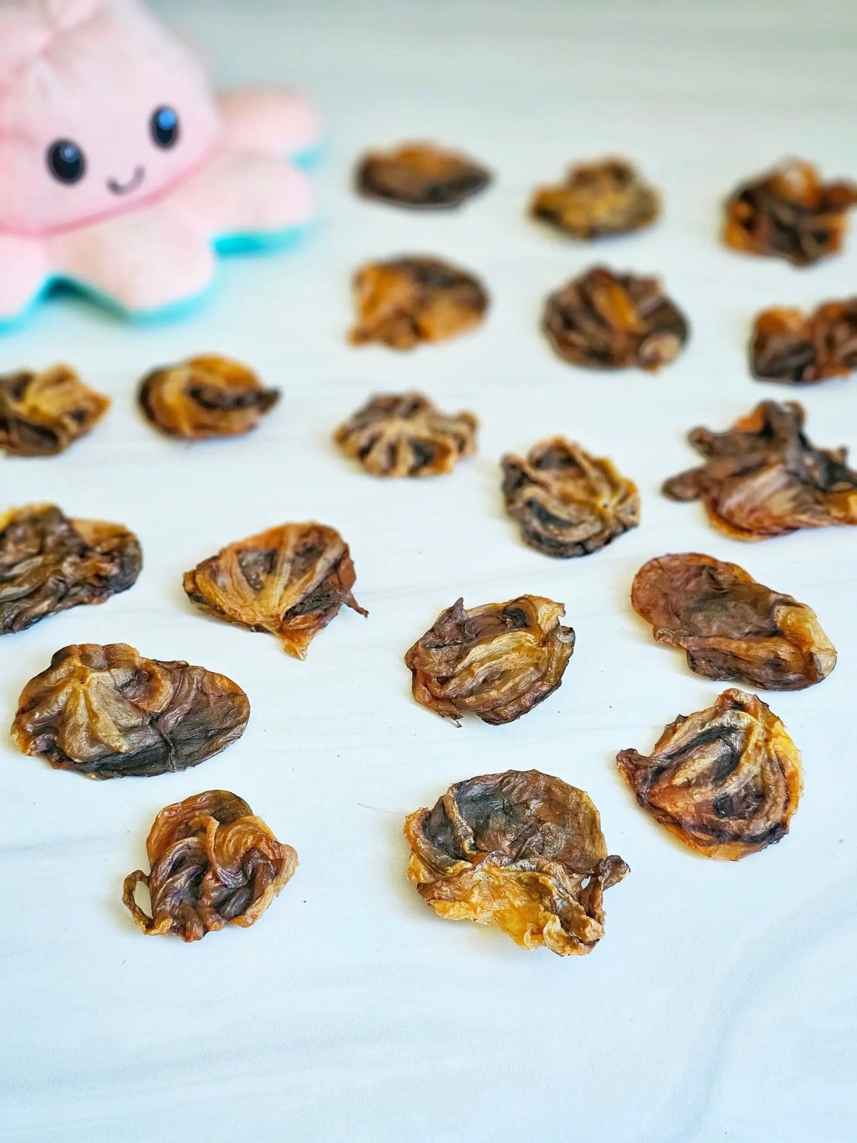 Baby octopus pieces, dried and brown, wild-caught, scattered on a white surface