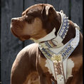 Carica l'immagine nel visualizzatore della galleria, THE CANDY Harness - Pet Collars & Harnesses from Bestia Dog Gear
