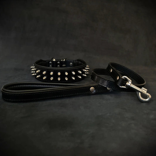 "Frenchie" Set- collar & leash. Black - Pet Collars & Harnesses from Bestia Dog Gear