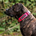 Bild in Galerie-Betrachter laden, Bestia Dog Sport GripPro Print Collar - Pink - Pet Collars & Harnesses from Bestia Dog Sport

