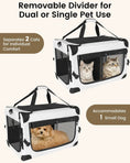 Bild in Galerie-Betrachter laden, Large Cat Carrier for 2 Cats Soft Sided Travel Crate Up to 55lbs by Wags & Whiskers Pet Supply
