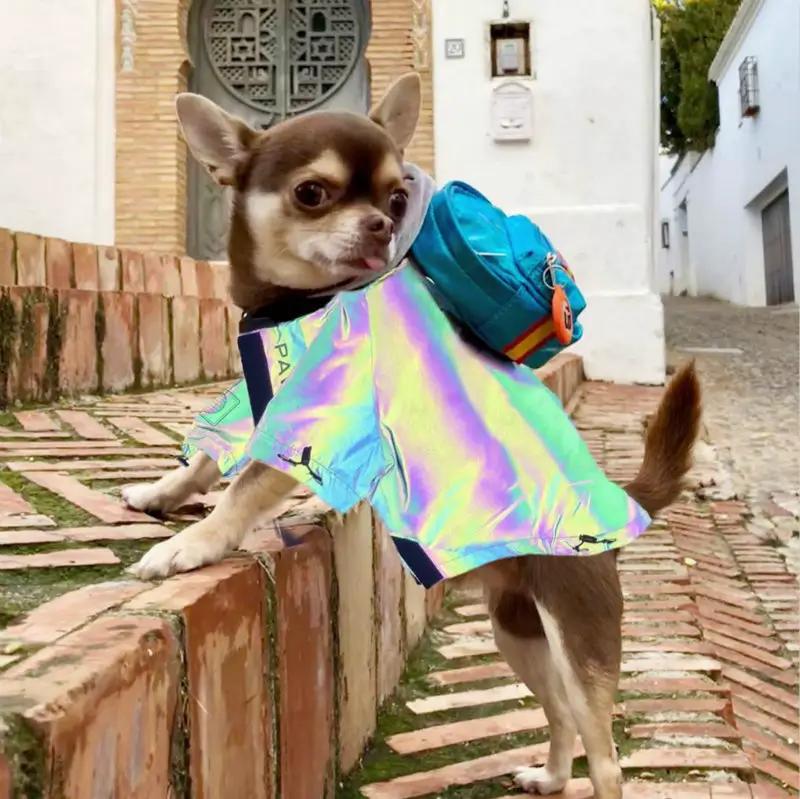 Microcrystalline reflective dog clothes Pet Zen iridescent rainbow coat with blue backpack