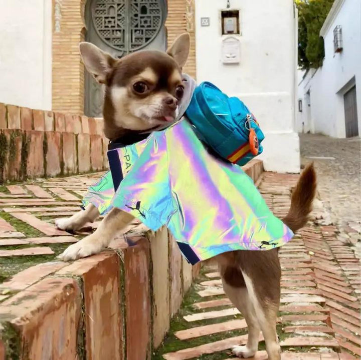 Microcrystalline reflective dog clothes Pet Zen iridescent rainbow coat with blue backpack