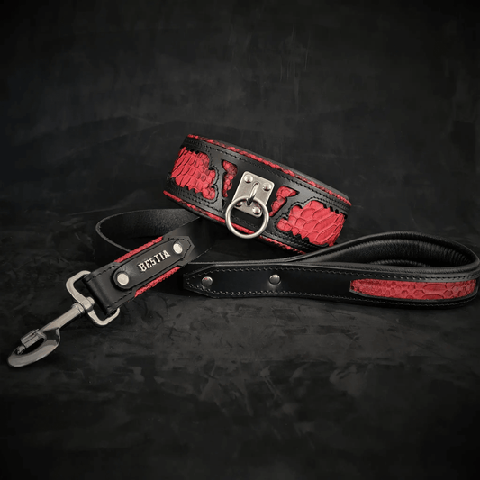 The ''Red Dragon'' leash - Pet Leashes from Bestia Dog Gear