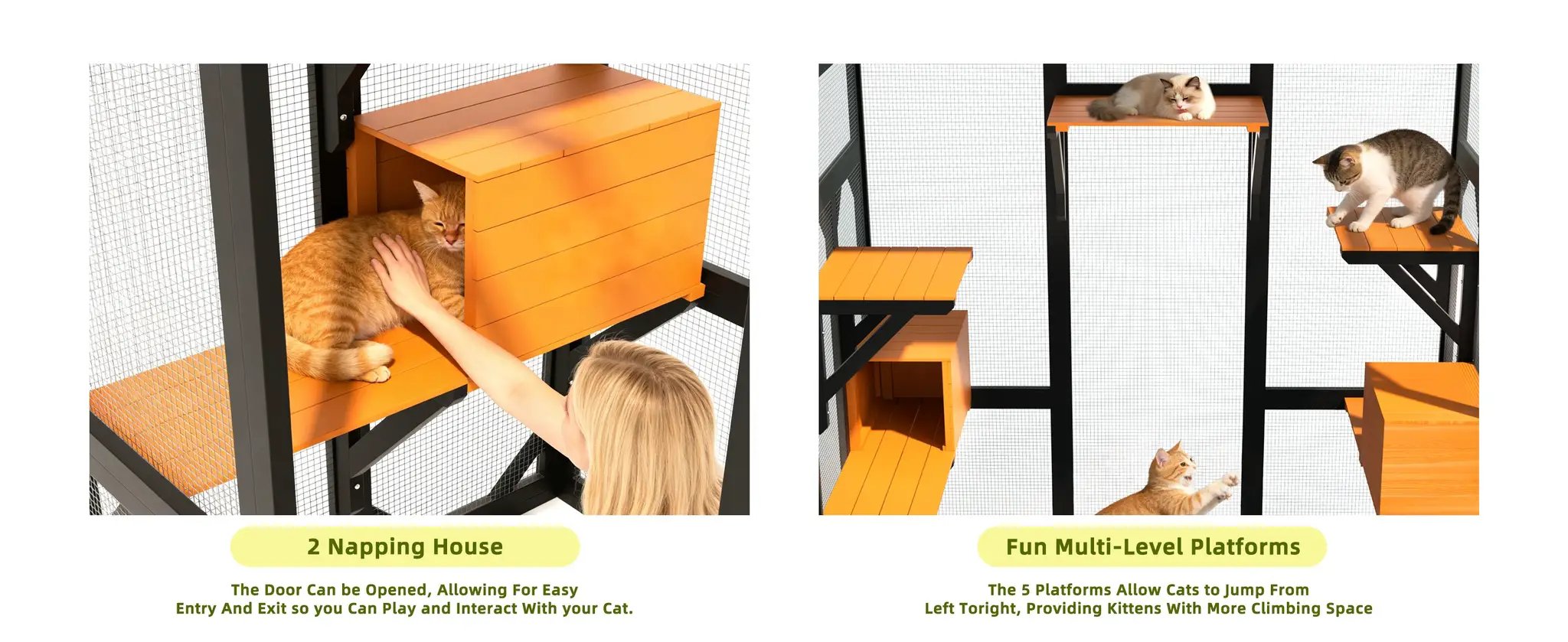 Premium Solid Wood Pet Enclosure by Home Furnishers with orange multi-level platforms and a cozy napping house.