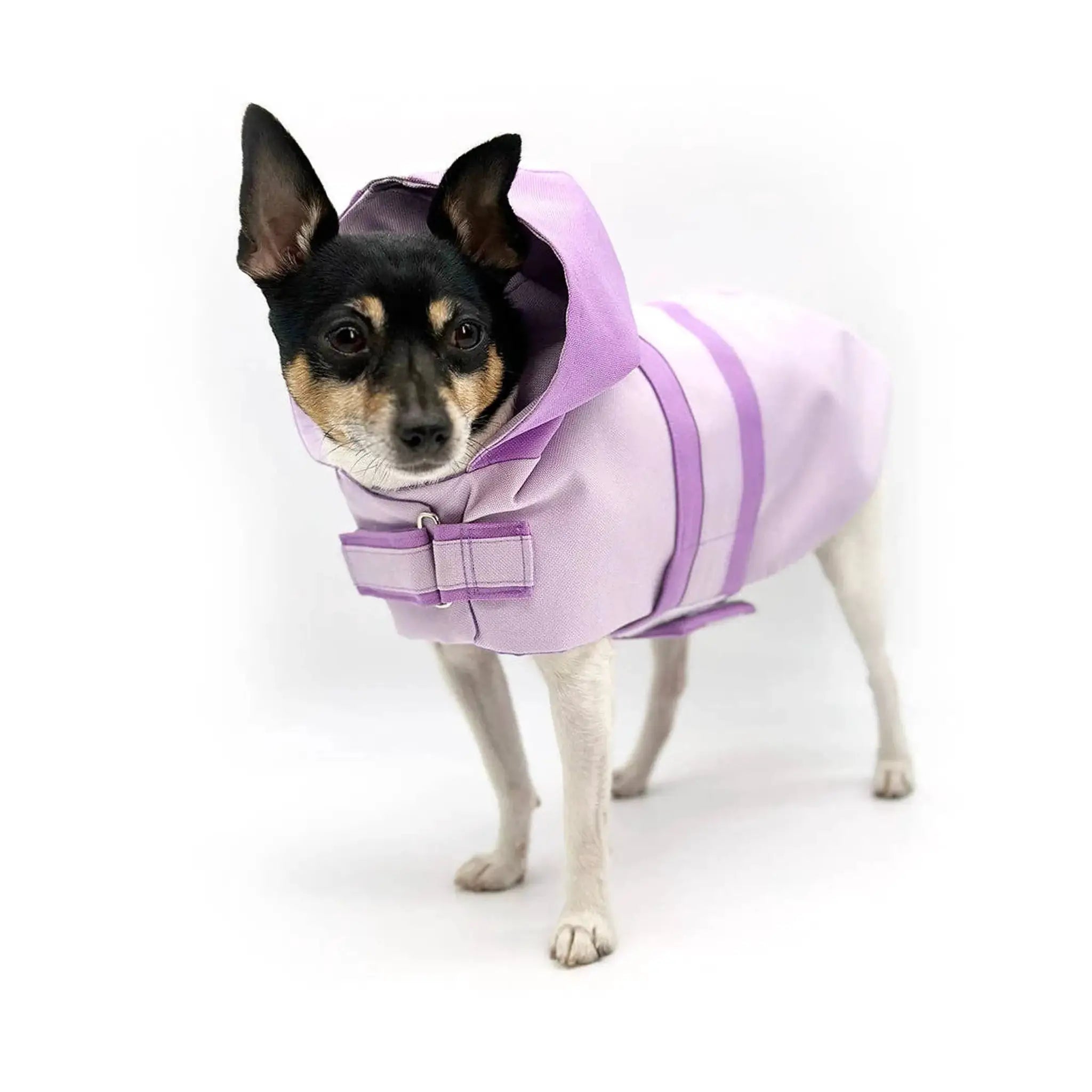 Dog clothes: DCNY Sport Luxe Hooded Raincoat in lavender for dogs