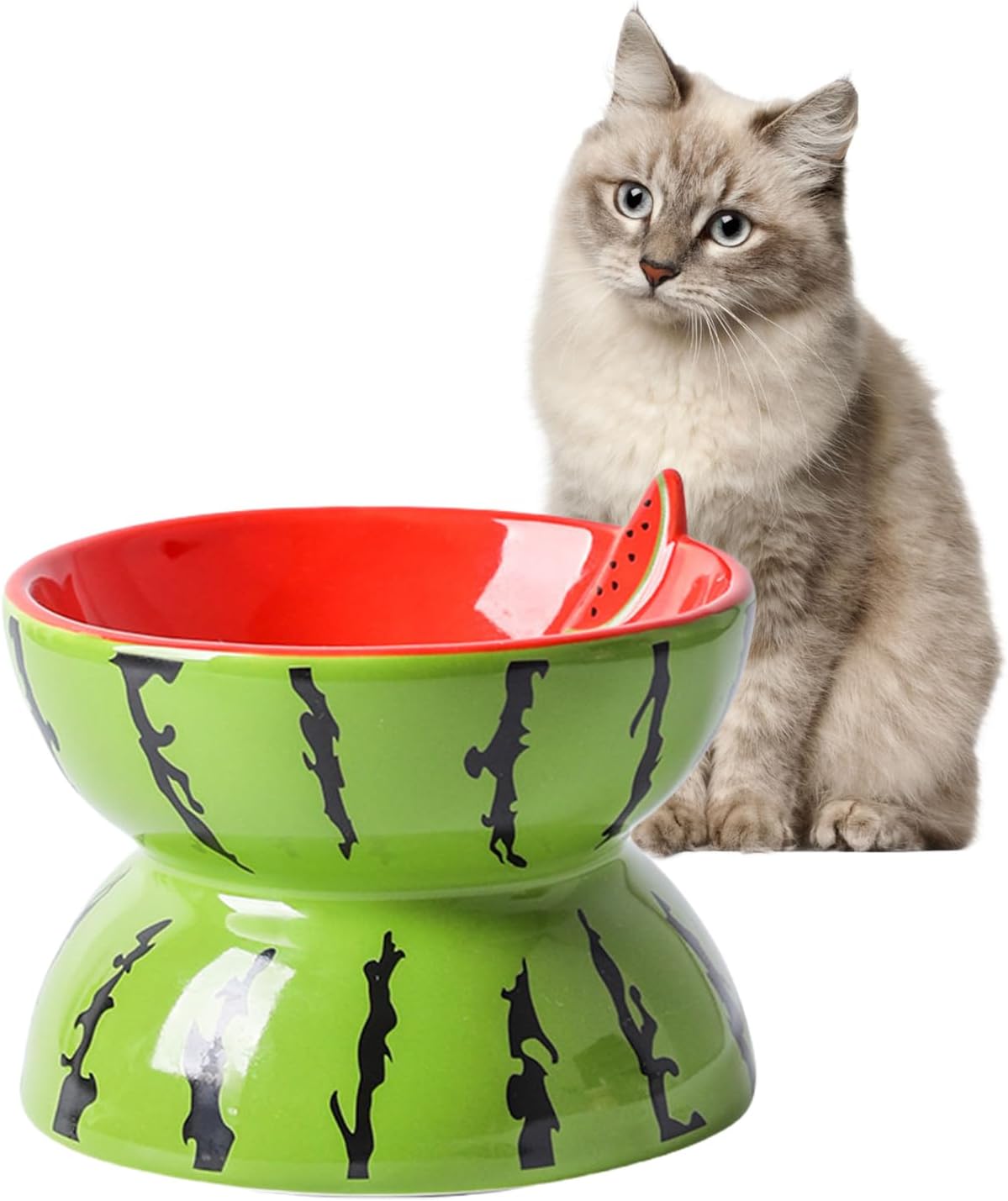 Cat beside watermelon pedestal bowl