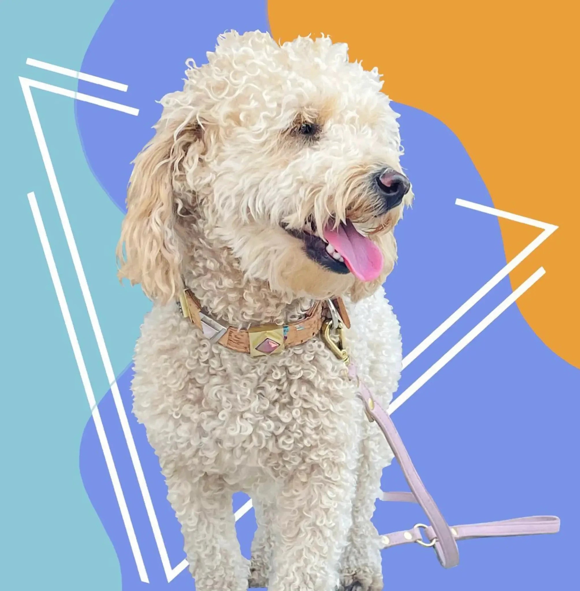 Rainbow Pride Cork Leather Leash for pets by DIPHDA, pink cork strap with metal hardware.