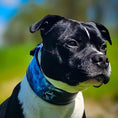 Load image into Gallery viewer, The Darth Force Limited Collar - Pet Collars & Harnesses from Bestia Dog Gear
