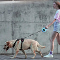 Gallery viewerに画像を読み込む, Flexi Automatic Retractable Dog Leash 5m With Bright LED Light For Small Medium Dogs Walking Running Safe Night Gear by Pawpampered

