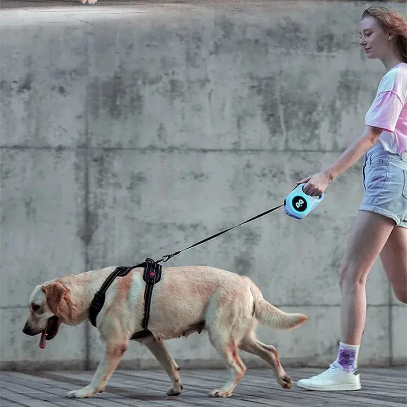 Flexi Automatic Retractable Dog Leash 5m With Bright LED Light For Small Medium Dogs Walking Running Safe Night Gear by Pawpampered