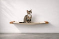 Load image into Gallery viewer, Hanging Cat Bed Hammock with beige fabric and wooden end mounts, cat seated on it.
