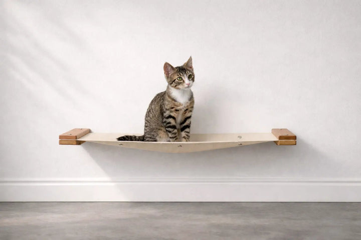 Hanging Cat Bed Hammock with beige fabric and wooden end mounts, cat seated on it.