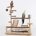 Cargar la imagen en la vista de la galería, Sichuan Pepper Parrot Climbing Training Platform Natural Solid Wood Frame Set With Size 37 26 45 by Sell My Stuff
