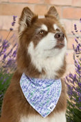 Load image into Gallery viewer, Lavender Blooms Dog Bandana - from Aria the Fox
