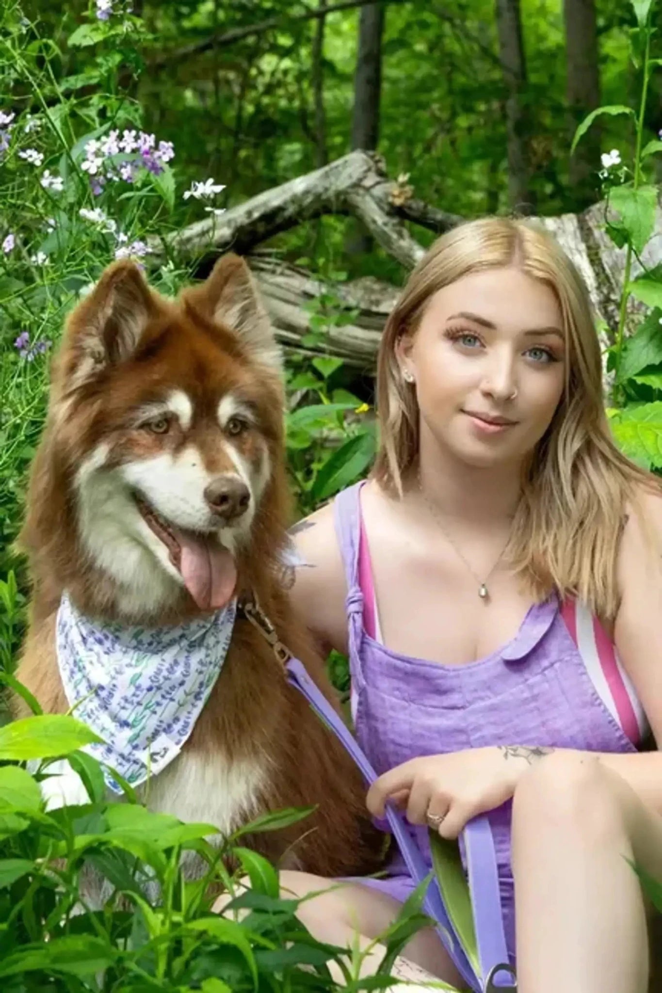 Lavender Blooms Dog Bandana - from Aria the Fox