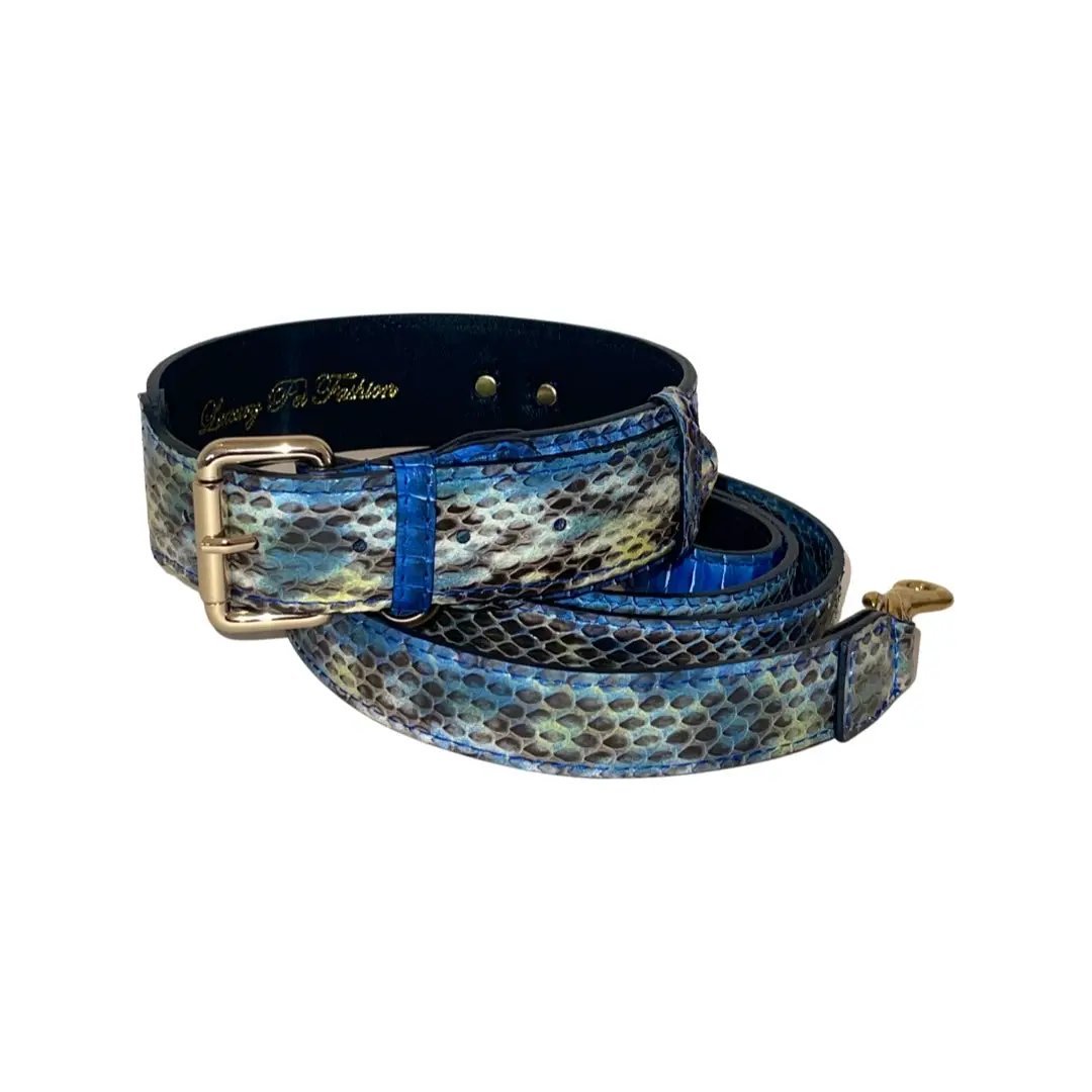 Avery Blue Snake Collar And Leash Set For 14-19 Innecks by Allysa Payne Beverly Hills